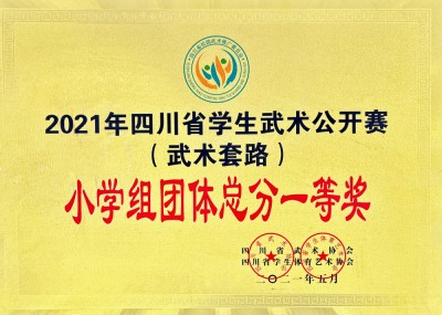 四川省學(xué)生武術(shù)公開賽團(tuán)體總分一等獎(jiǎng)