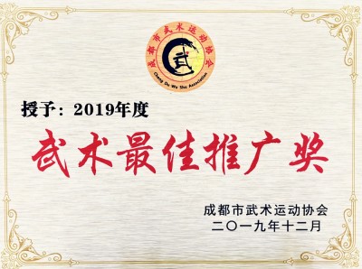 2019年武術(shù)最佳推廣獎(jiǎng)
