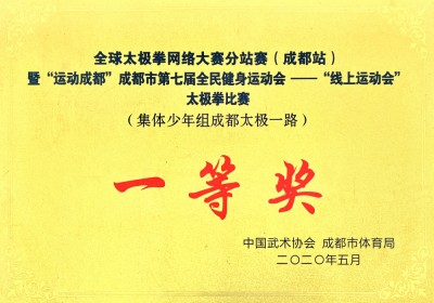全球太極拳網(wǎng)絡(luò)大賽一等獎(jiǎng)