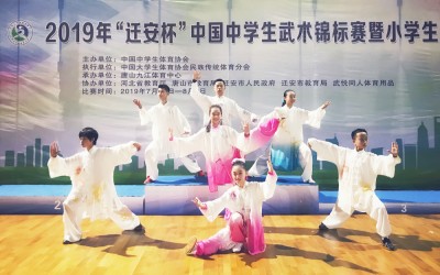 2019年“遷安杯”中國(guó)中學(xué)生武術(shù)錦標(biāo)賽團(tuán)體總分獎(jiǎng)小學(xué)第三名（一等獎(jiǎng)）