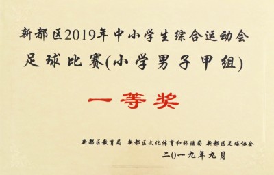 2019新都區(qū)中小學(xué)綜合運(yùn)動(dòng)會(huì)足球項(xiàng)目校園足球決賽冠軍