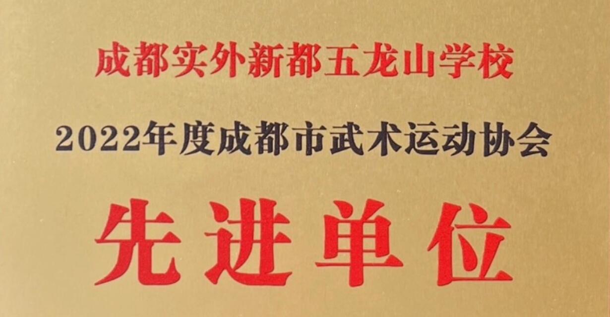 2022年度成都市武術(shù)運(yùn)動(dòng)協(xié)會(huì)先進(jìn)單位