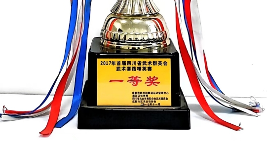 2017年11月首屆四川省武術(shù)群英會(huì)武術(shù)套路精英賽：一等獎(jiǎng)