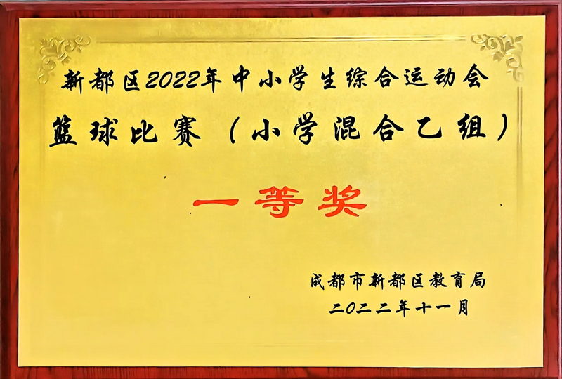 2022年11月中小學(xué)生綜合運(yùn)動(dòng)會(huì)籃球比賽(小學(xué)混合乙組)：一等獎(jiǎng)
