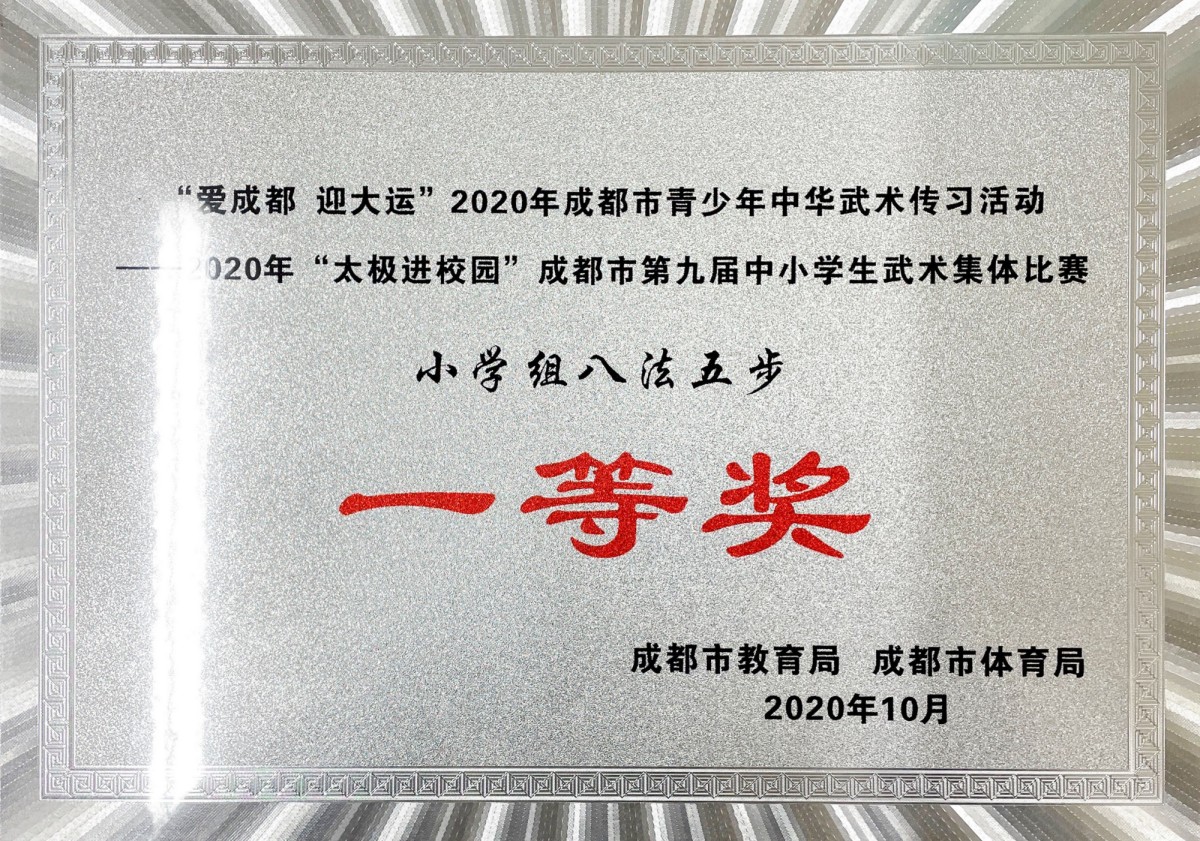 成都市第九屆中小學生武術集體比賽.jpg